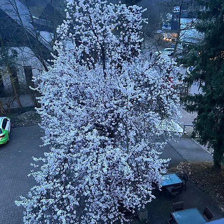 Wittgensteiner Hof Casa de hóspedes 3*