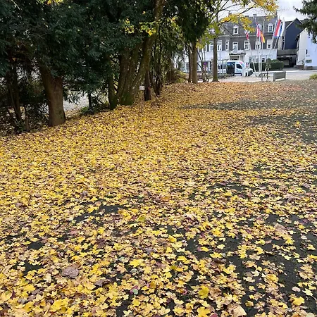 Gasthuis Wittgensteiner Hof Bad Laasphe