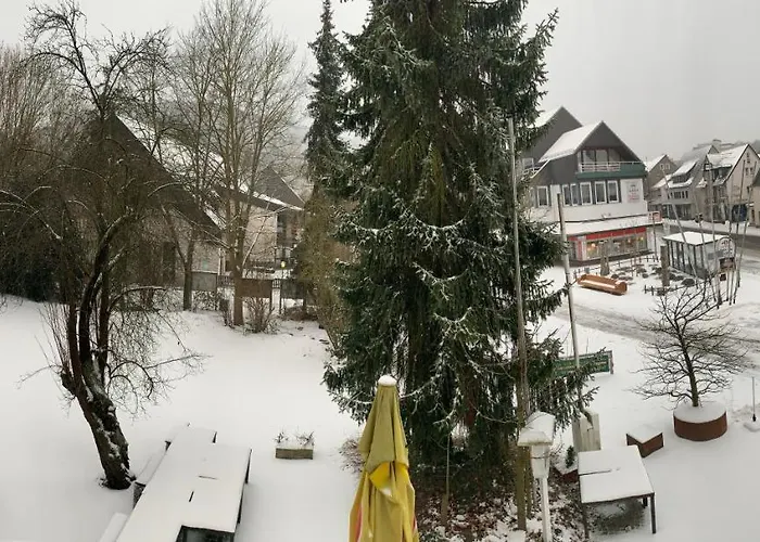 Wittgensteiner Hof 3* באד לאאספה