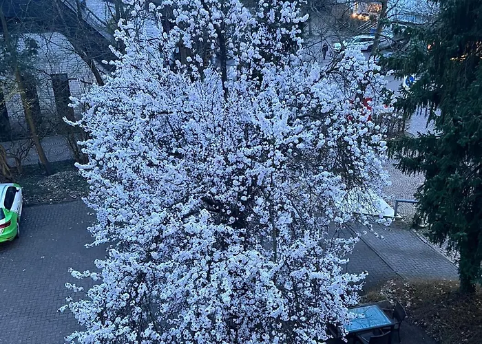 Wittgensteiner Hof Pensjonat 3*