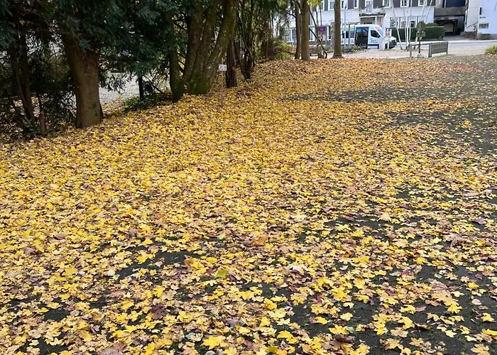 Pensionat Wittgensteiner Hof Bad Laasphe