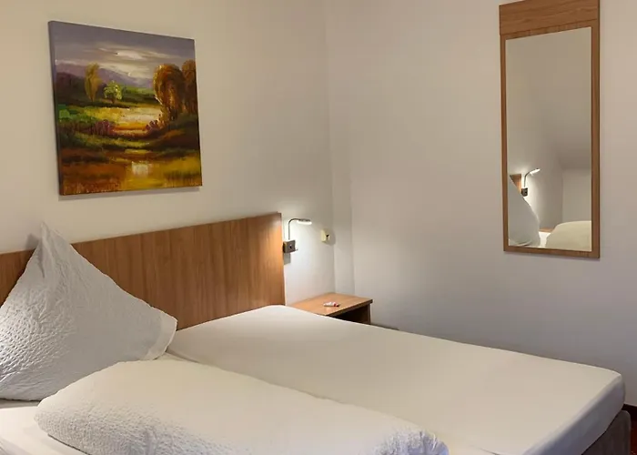 Wittgensteiner Hof Pensionat 3*