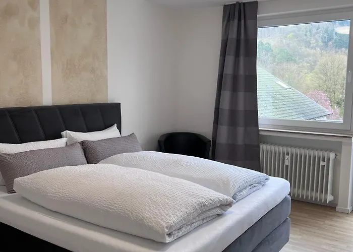 Wittgensteiner Hof בית הארחה באד לאאספה